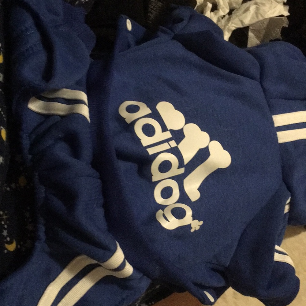 ADIDDOG